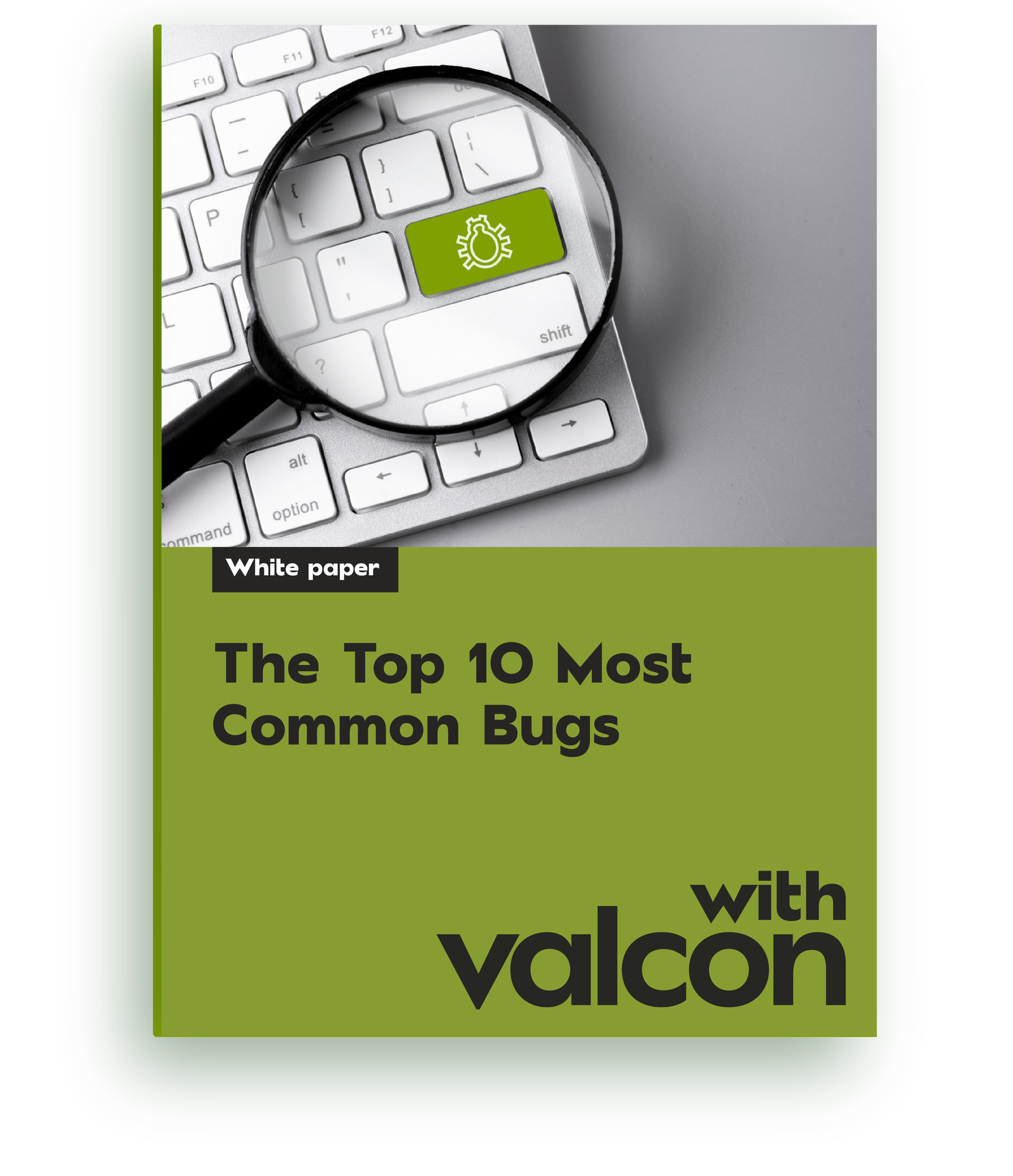 VSEE-MOCKUP-10 most common software bugs